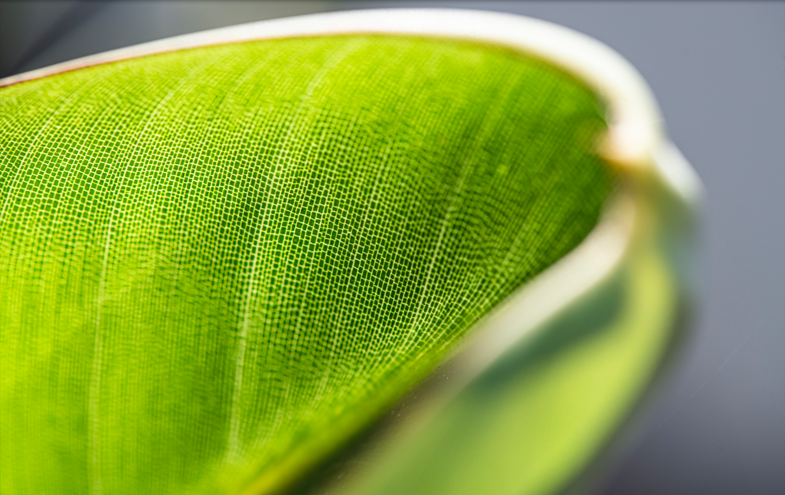 Das Team der Zahnarztpraxis in Düsseldorf